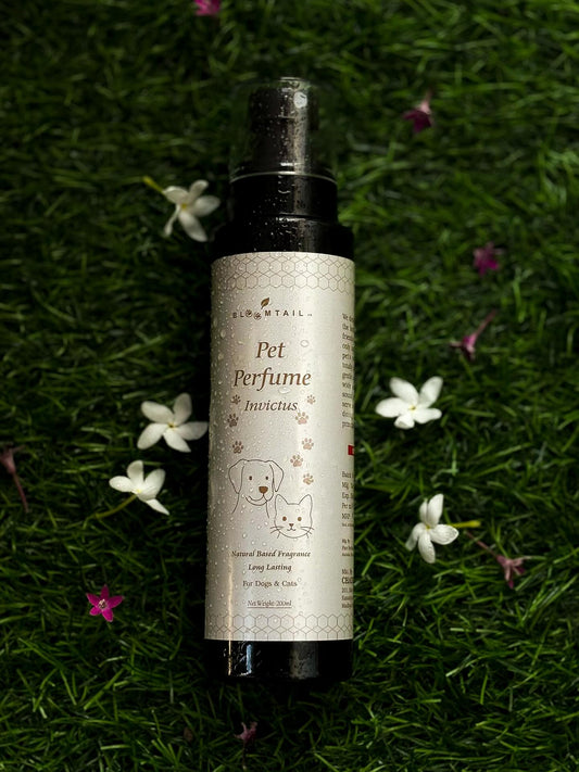 Bloomtail.co Pet Perfume – Invictus Inspired | 200ml