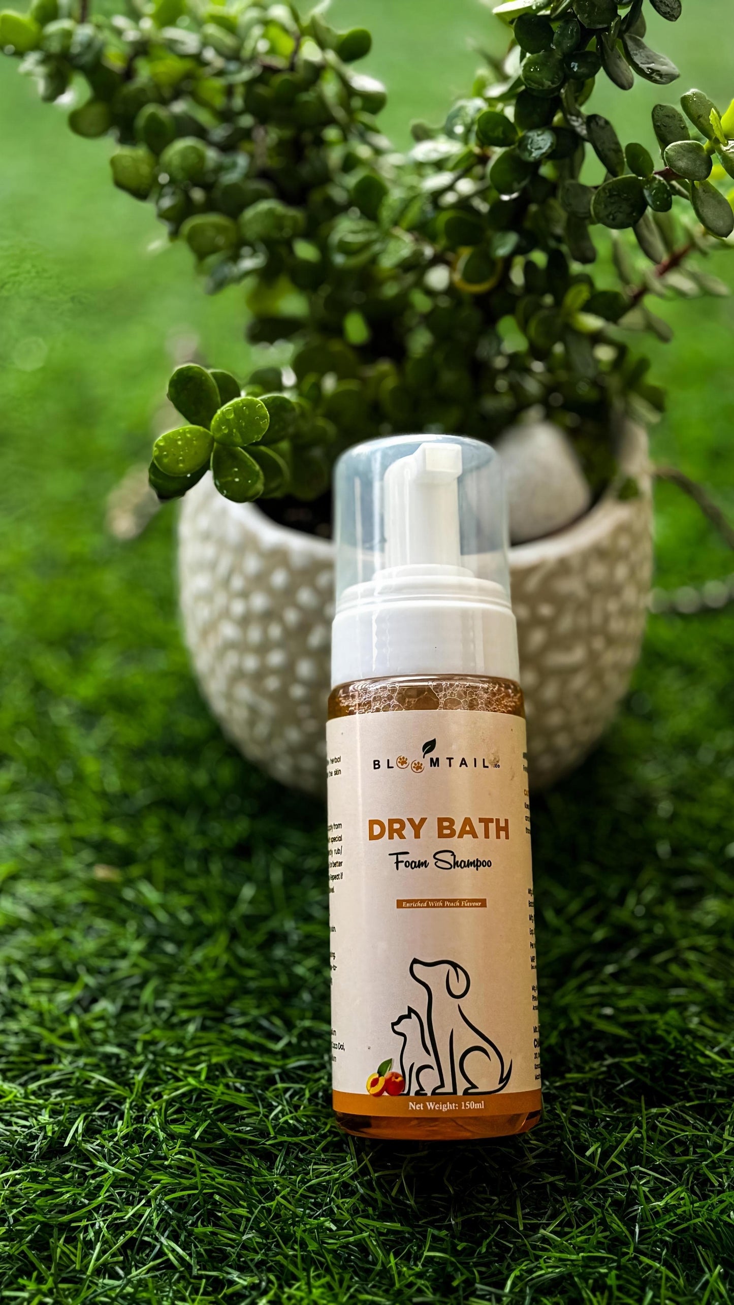 Bloomtail.co Dry Bath Foam Shampoo for Pets – Peach Scent | 150ml
