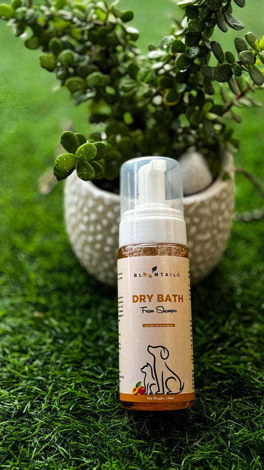 Bloomtail.co Dry Bath Foam Shampoo for Pets – Peach Scent | 150ml